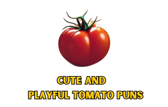Funny Tomato Puns