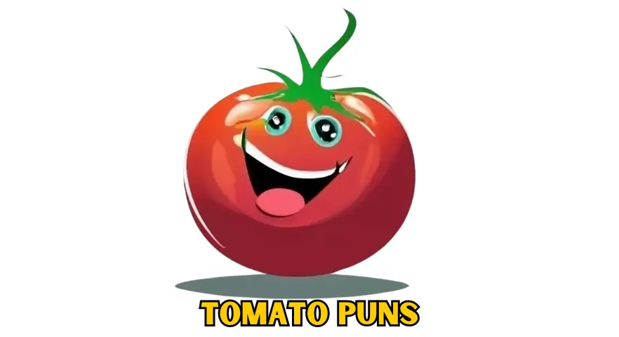 120+ Funny Tomato Puns and Jokes To Make You Good Laugh Funny Tomato Puns