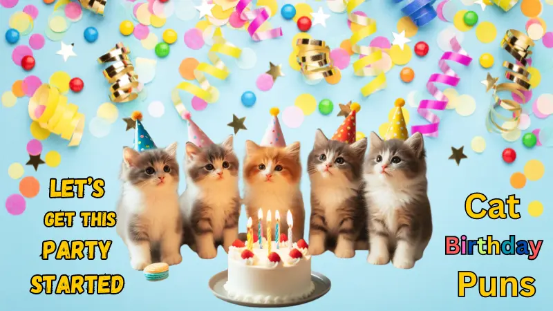 Cat Puns