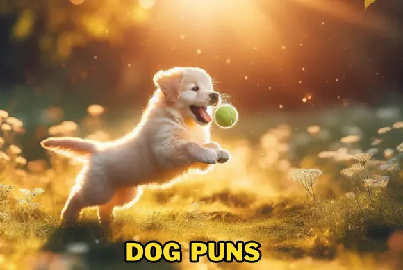 Dog Puns