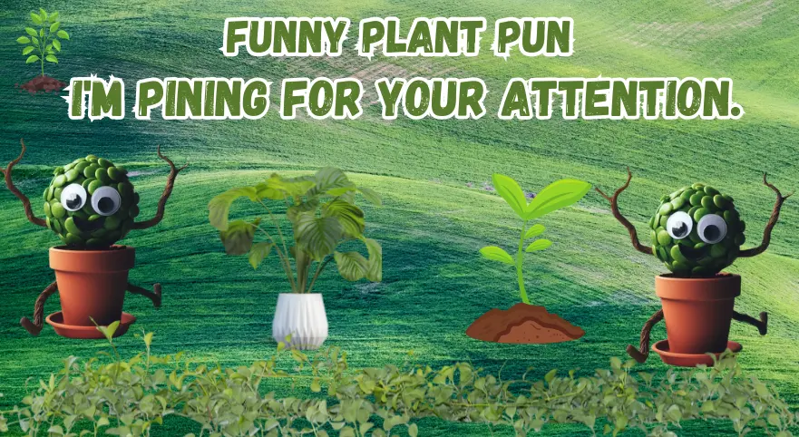 Plant Puns