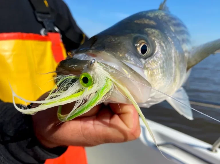 How to Choose the Right Fishing Lure for Any Water Condition