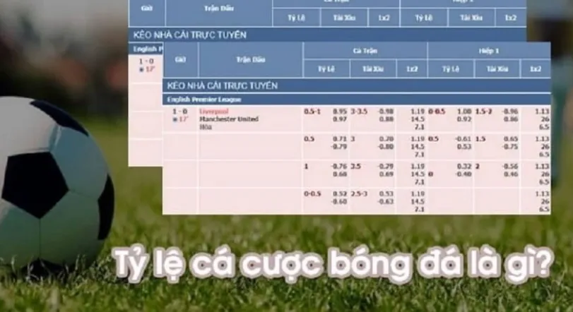 Understanding Tỷ Lệ Cá Cược – The Odds That Shape Your Betting Experience
